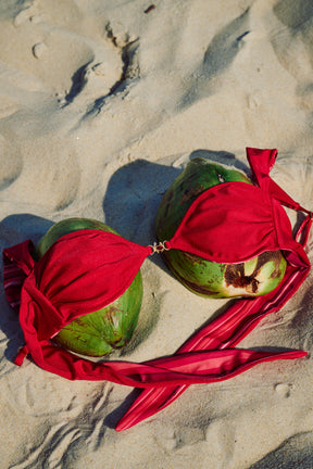 Haut Saleya | Scarlet